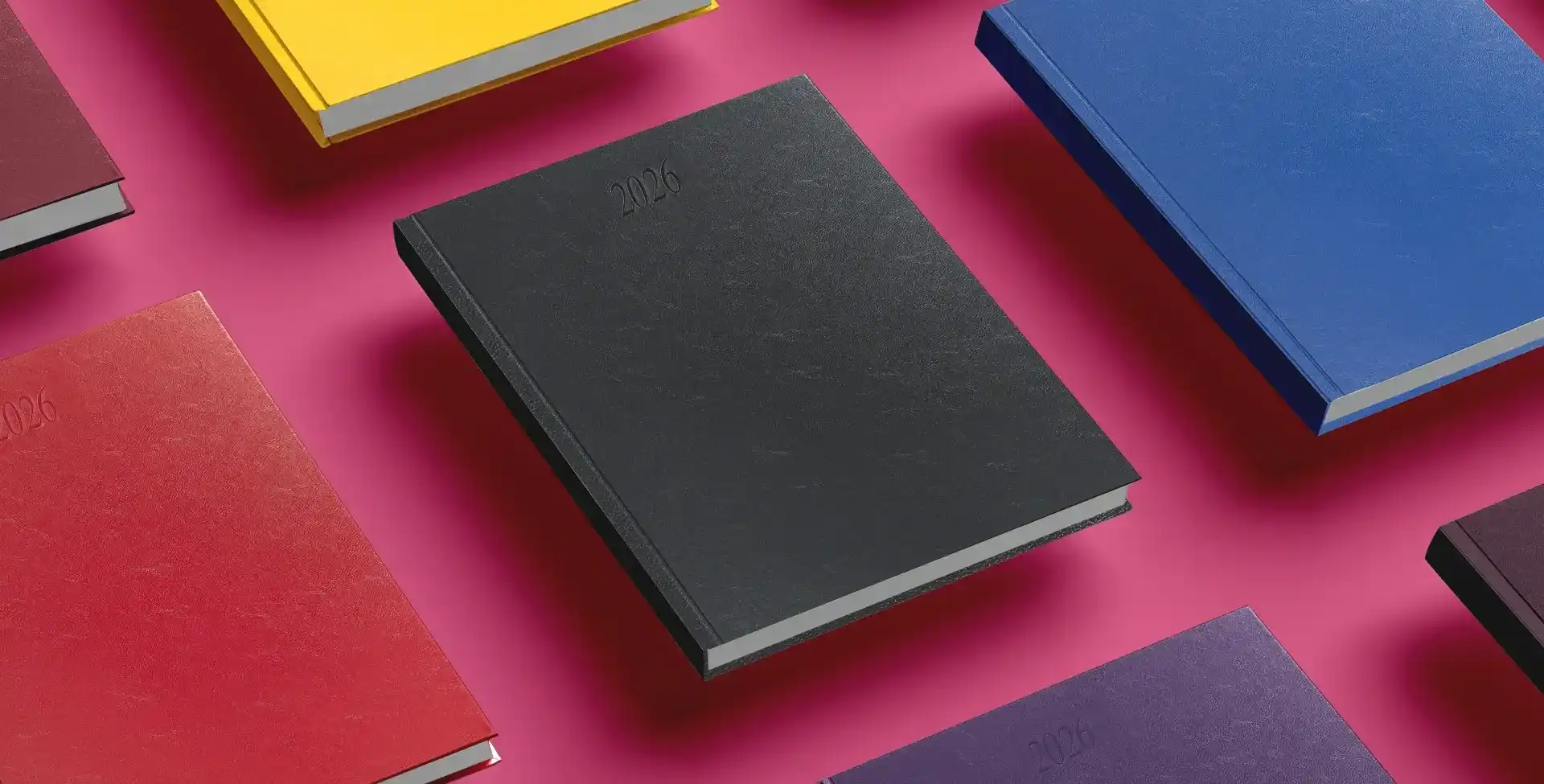 Premium corporate diaries